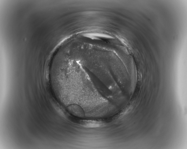 X0000085760347200704091338