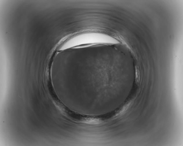 X0000085760348200704091338