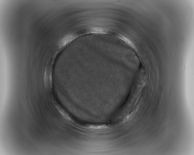 X0000085760349200704091338