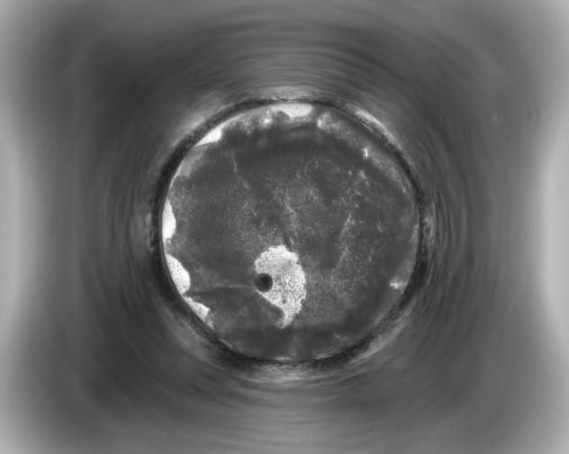 X0000085760351200704091338
