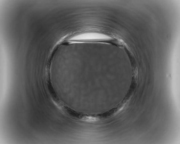 X0000085760352200704091338