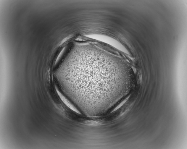 X0000085760356200704091338