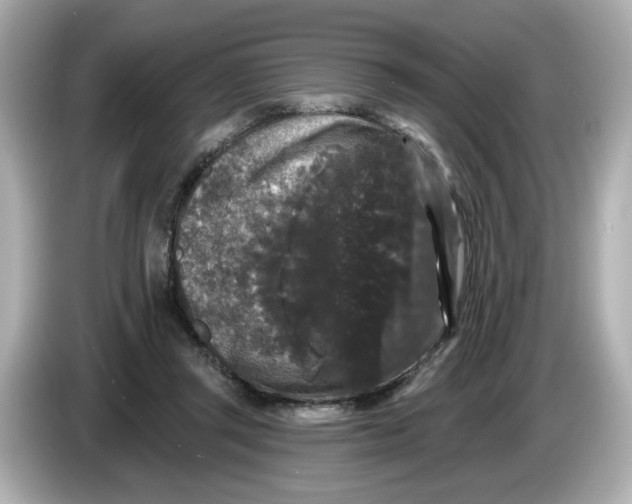 X0000085760357200704091338