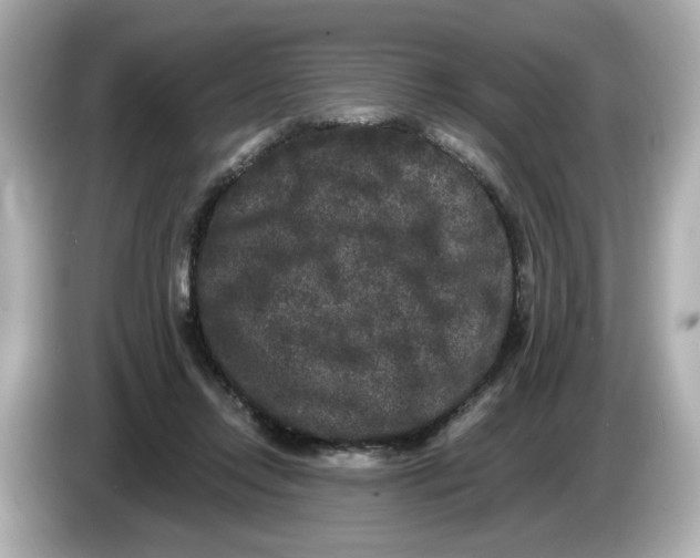 X0000085760358200704091338