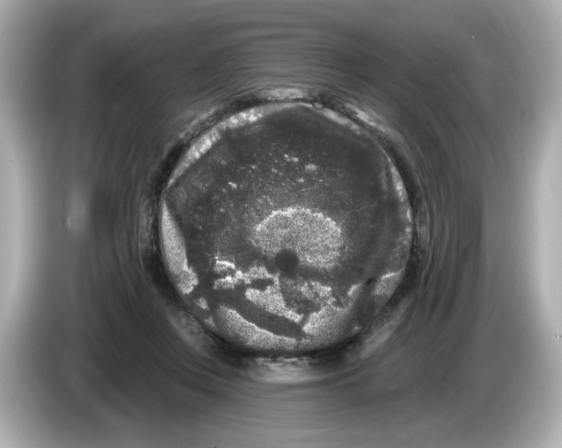 X0000085760359200704091338