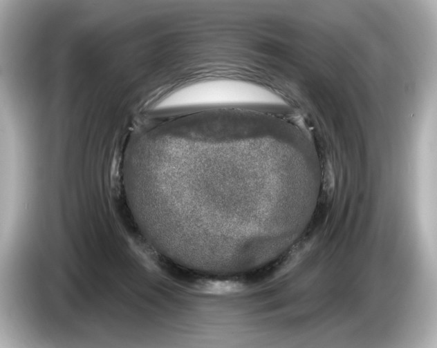 X0000085760360200704091338