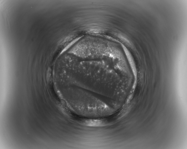 X0000085760361200704091338
