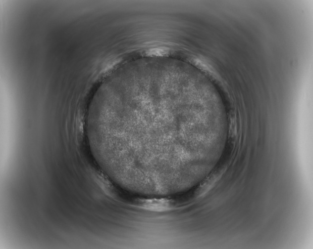 X0000085760363200704091338
