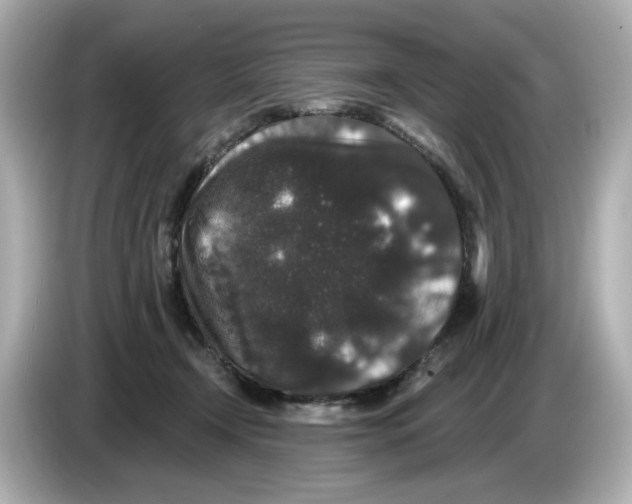 X0000085760366200704091338