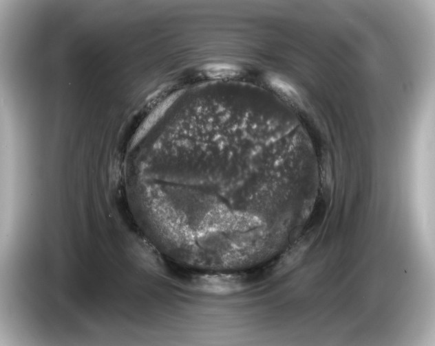 X0000085760367200704091338