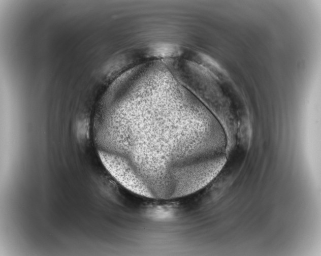 X0000085760368200704091338