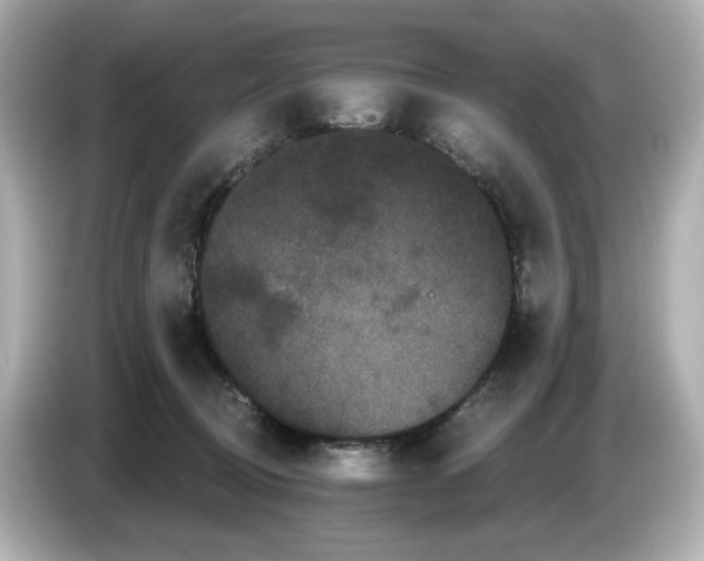 X0000085760370200704091338