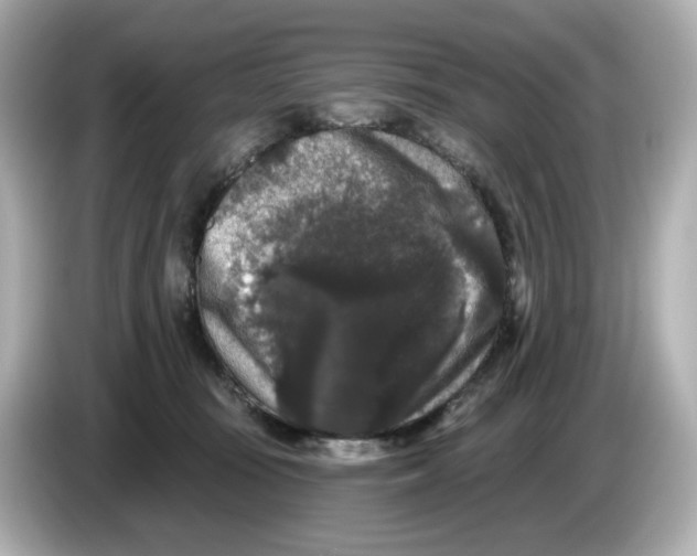 X0000085760371200704091339