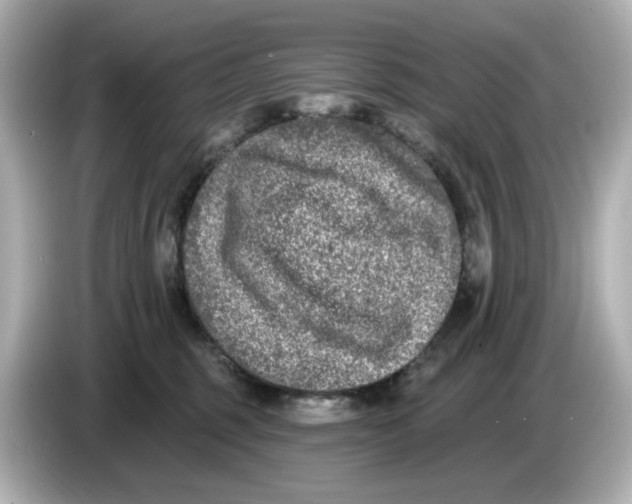 X0000085760375200704091339