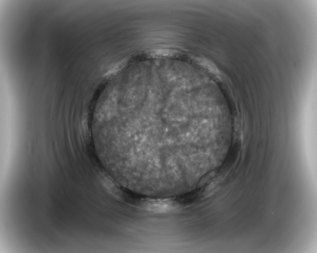 X0000085760377200704091339