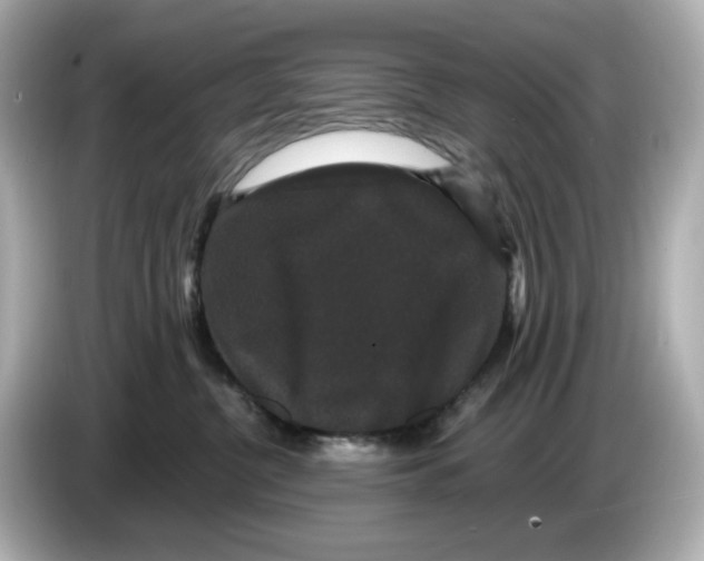 X0000085760380200704091339