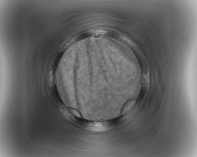 X0000085760381200704091339