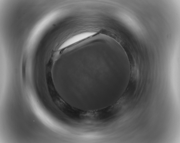 X0000085760383200704091339