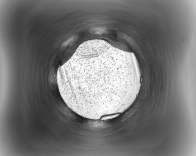 X0000085760384200704091339