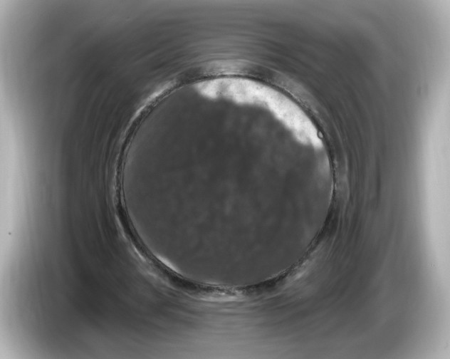 X0000085760386200704091338