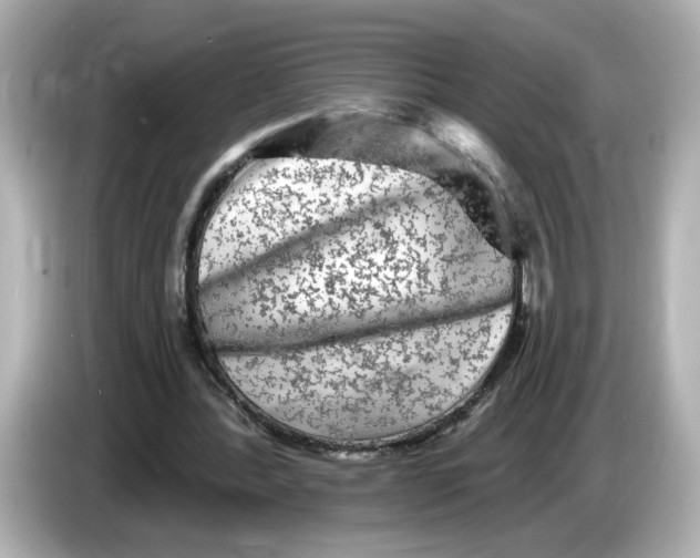 X0000085760388200704091338
