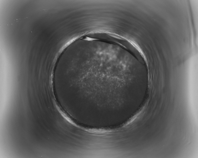 X0000085760389200704091338