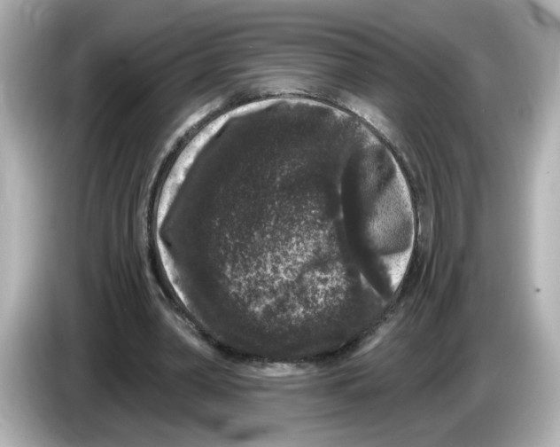X0000085760390200704091338