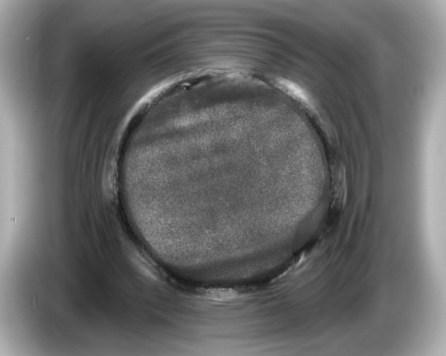 X0000085760392200704091338