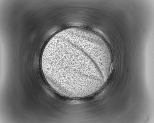 X0000085760394200704091338