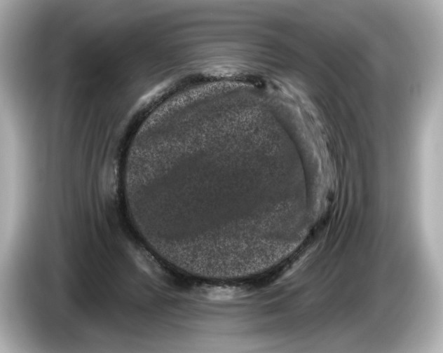 X0000085760400200704091338