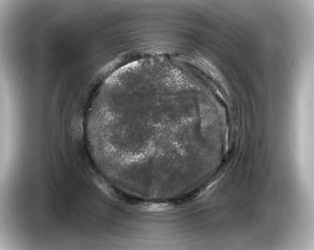 X0000085760401200704091338