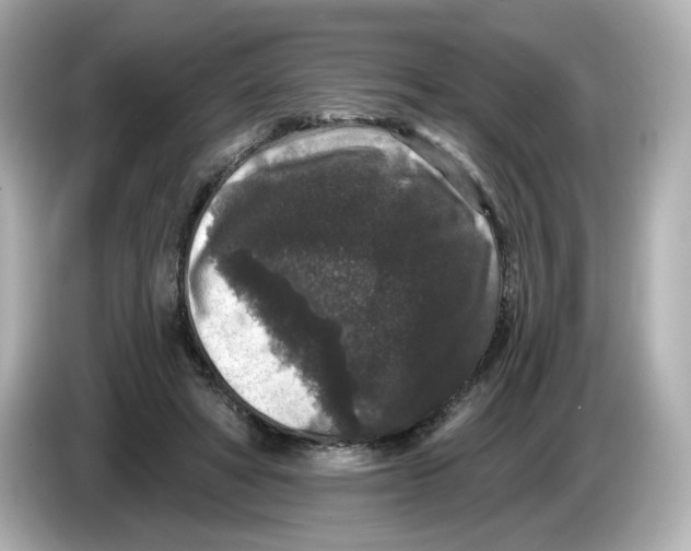 X0000085760402200704091338