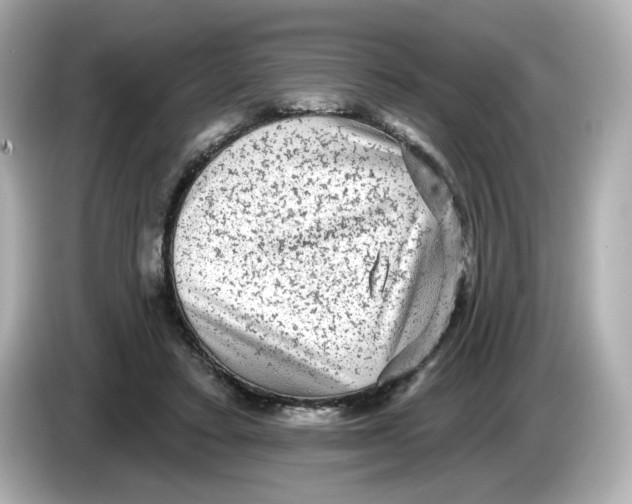 X0000085760403200704091338