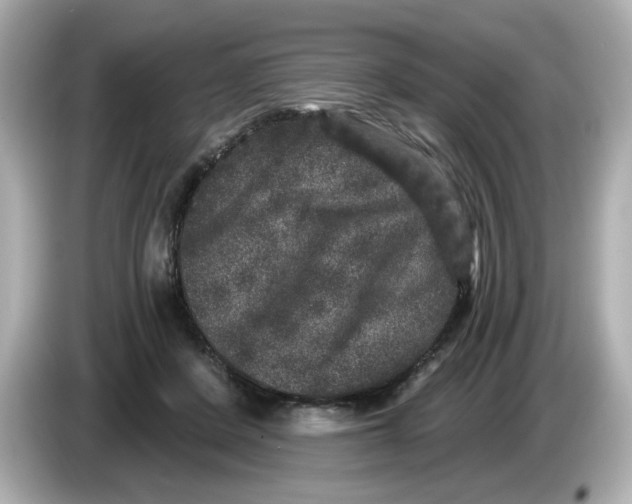 X0000085760408200704091338