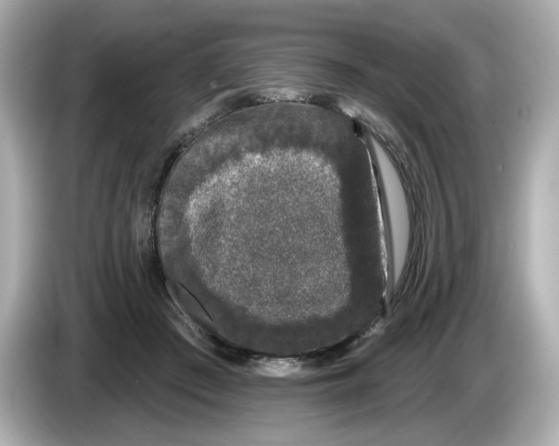 X0000085760409200704091338