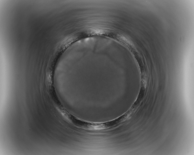 X0000085760410200704091338