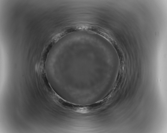 X0000085760411200704091338