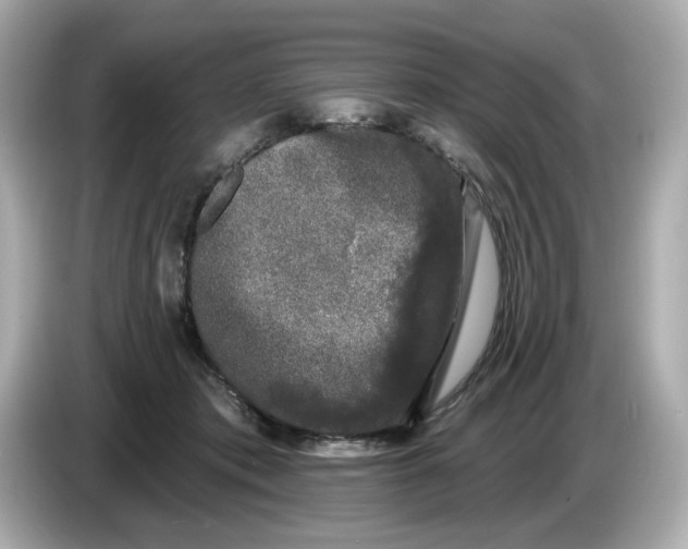 X0000085760413200704091338