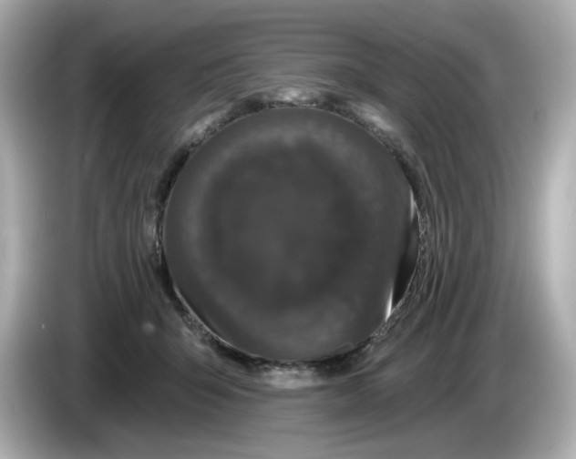 X0000085760415200704091338