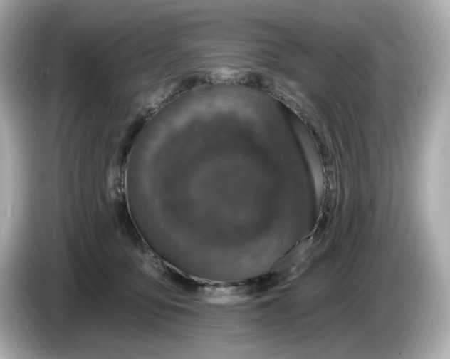 X0000085760419200704091338