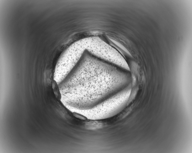 X0000085760421200704091338