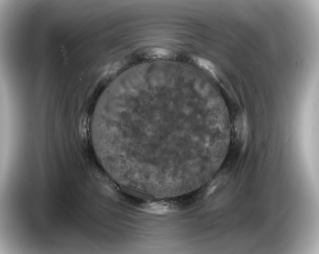 X0000085760423200704091338