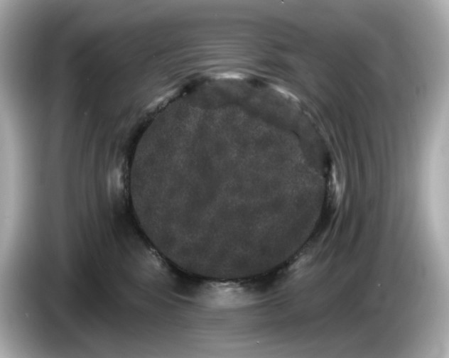 X0000085760424200704091338