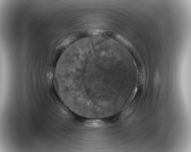 X0000085760427200704091338