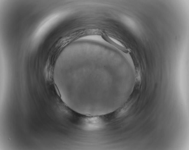 X0000085760431200704091338