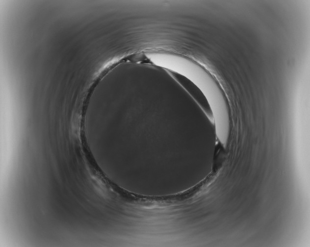 X0000085760434200704091337