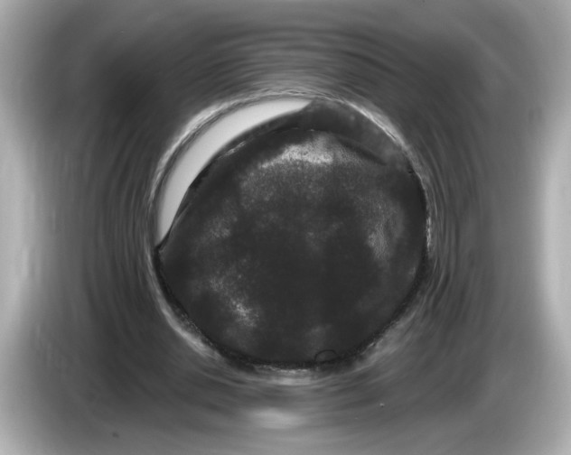 X0000085760438200704091337