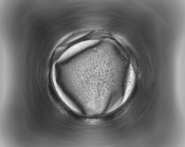 X0000085760440200704091337