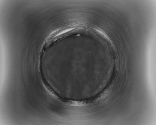 X0000085760442200704091337