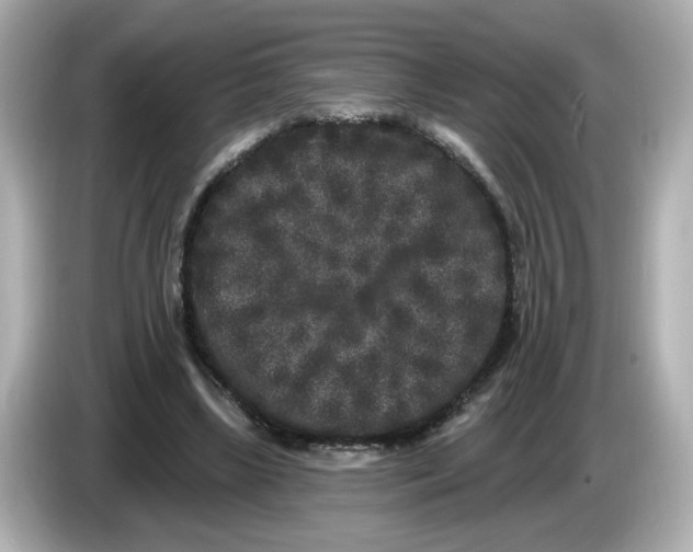 X0000085760443200704091337